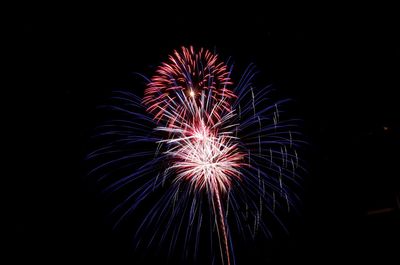 Low angle view of firework display at night