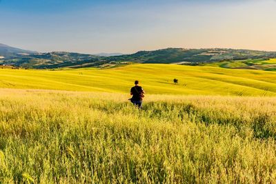 Rear view of man walking amidst grassy field against sky during sunset