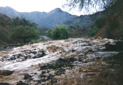 Scenic view of river flowing through mountains