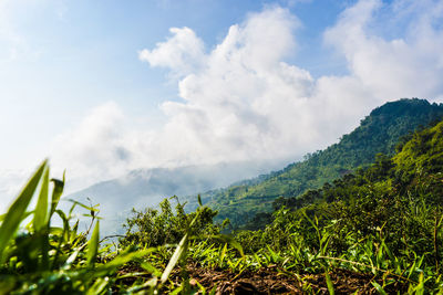 Scenic view of mountains against sky