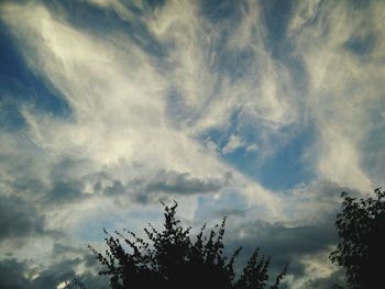 Low angle view of trees against cloudy sky