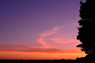 Low angle view of silhouette trees against sky during sunset