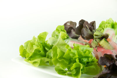 Close-up of vegetables against white background