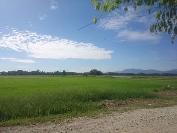 Scenic view of field against sky