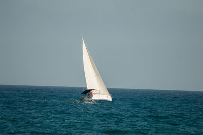 Sailboat sailing on sea against clear sky