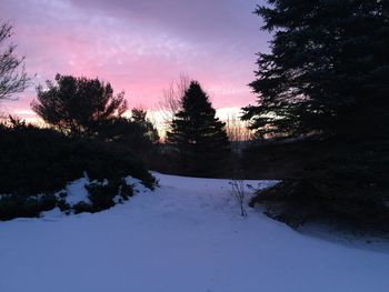 Scenic view of snow covered landscape