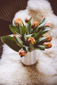 Close-up of flower vase