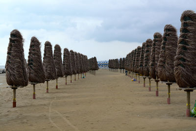 View of row of beach