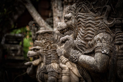 Close-up of statue