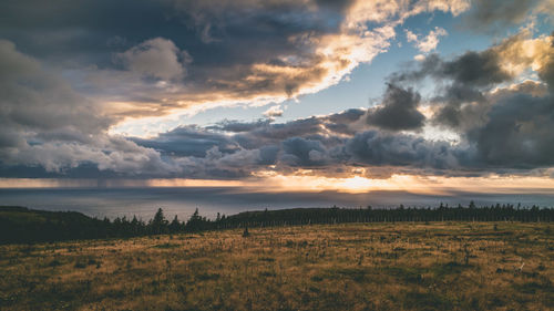 Scenic view of field against sky during sunset