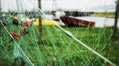 Close-up of spider web on grass