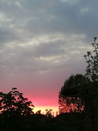 Silhouette trees against sky during sunset