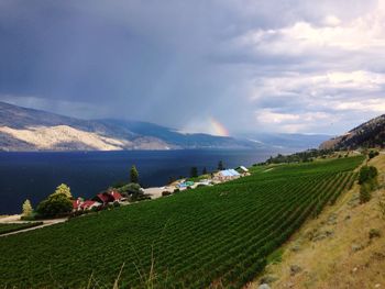 Scenic view of green hill by okanagan lake against cloudy sky