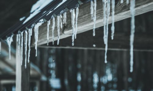 Icicles close up