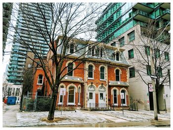 Low angle view of building and bare tree in city