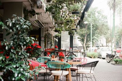 Chairs and table against trees