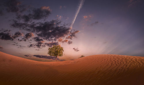 Scenic view of desert against sky