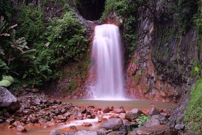 Scenic view of waterfall in forest