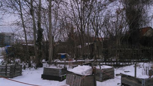 Bare trees on snow covered field against buildings