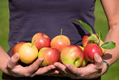 Midsection of woman holding apples