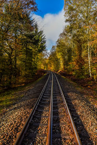 Railroad tracks by trees against sky during autumn