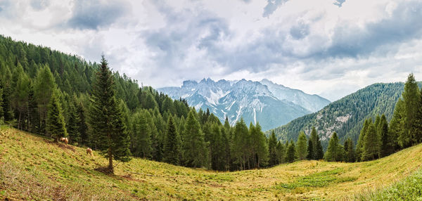 Panoramic view of green landscape and mountains against sky