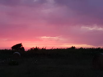 Silhouette trees on field against sky during sunset
