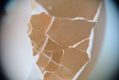 Close-up of ice cream over white background