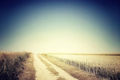 Road passing through field