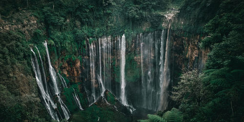 Scenic view of waterfall in forest