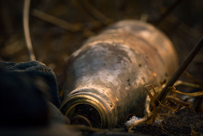 Close-up of rusty metal