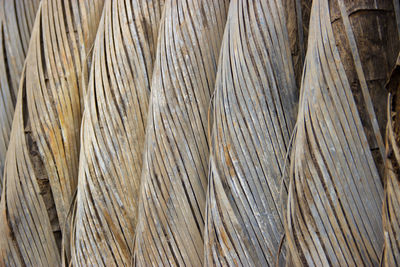Full frame shot of dried palm leaves