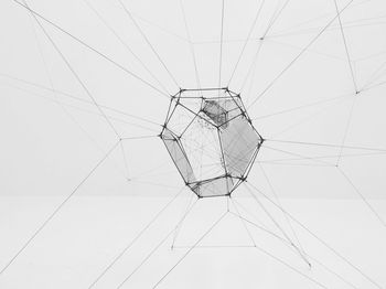Close-up of spider on web