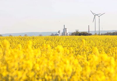 Scenic view of oilseed rape field against sky