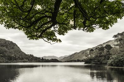 Scenic view of lake by trees against sky