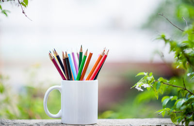 Close-up of multi colored pencils on table