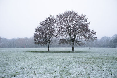 Tree on  snowy field against clear sky