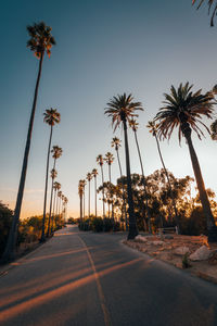 Road by trees against sky during sunset