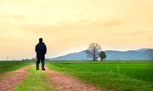 Rear view of man on field against sky during sunset