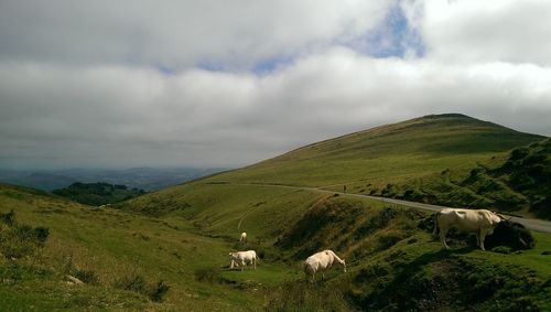 Scenic view of green landscape against sky