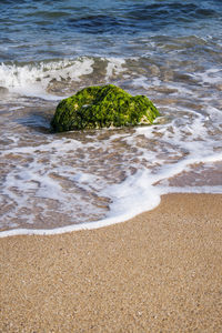 High angle view of beach