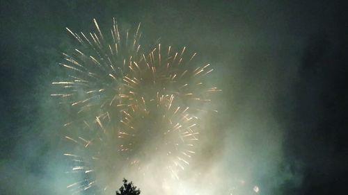 Low angle view of firework display at night