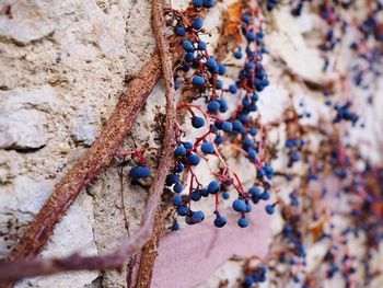 Close up of multi colored wall