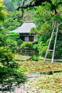 House and trees by lake against building