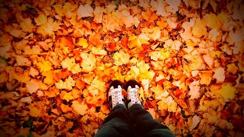 Low section of person standing by maple leaves during autumn