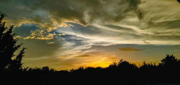 Low angle view of silhouette trees against sky during sunset