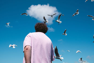 Low angle view of seagulls flying against sky