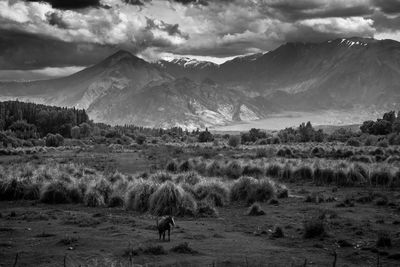 Durante viagem para o chile