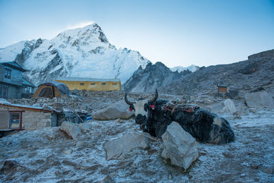 Scenic view of snowcapped mountains against sky