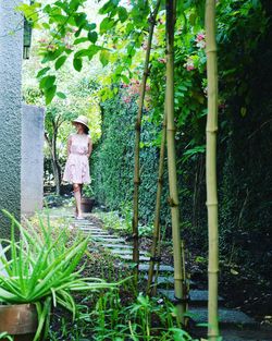 Woman standing by plants